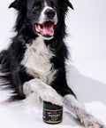 Manuka Honig für Tiere, MGO 250+, im Glas, Manuka Pets, aus Neuseeland - PowerFabrik