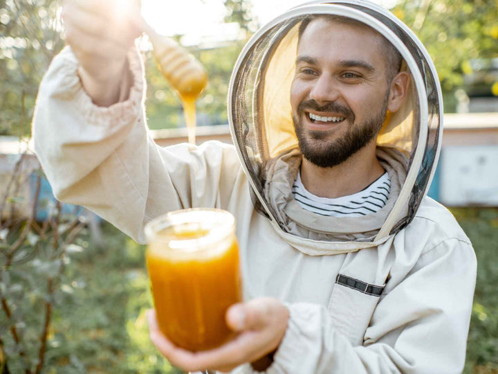 Manuka Honig MGO 550+, 250g, im Glas, aus Neuseeland - PowerFabrik
